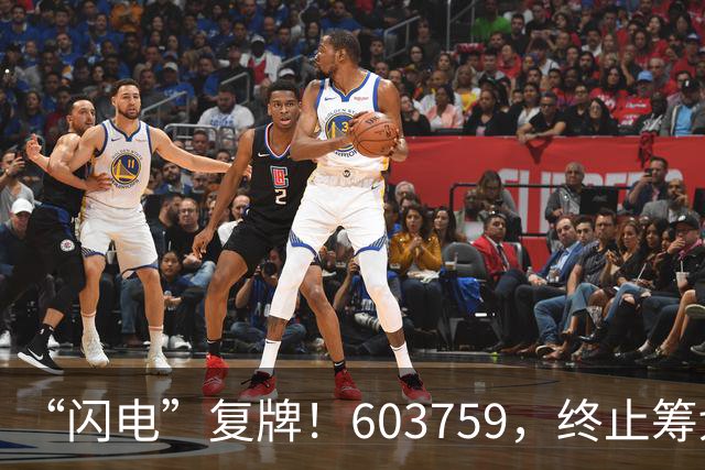 “闪电”复牌！603759，终止筹划重大事项
